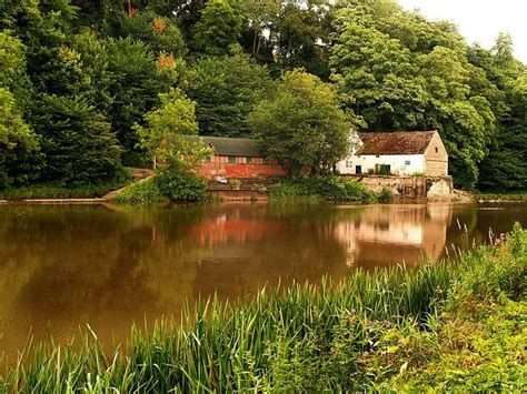 Durham Boat House On The River Wear English Cottage Durham City