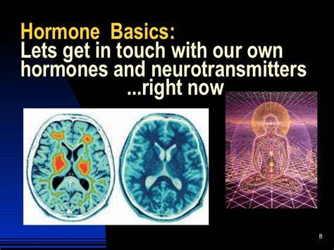 Aasect How Hormones And Neurotransmitters Impact Sexual Function