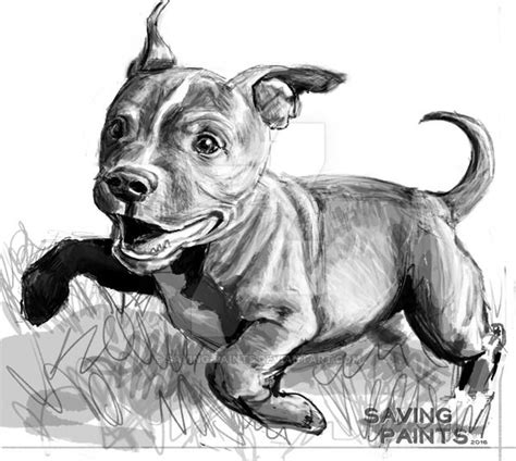 Pitbull Puppy 041716 By Saving Paints Deviantart Com On DeviantArt