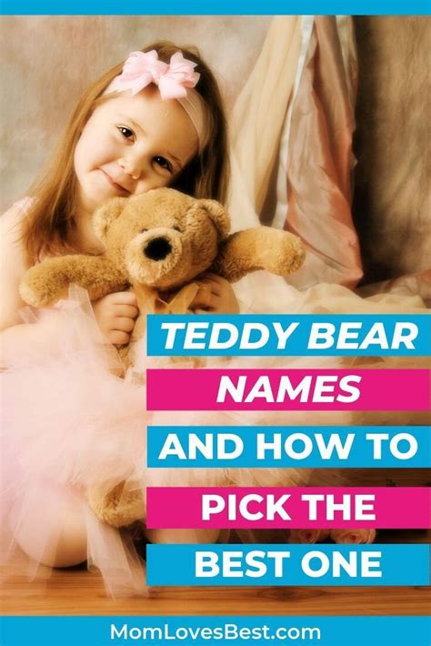 200 Best Teddy Bear Names Top Cute And Funny Names Bear Names Teddy