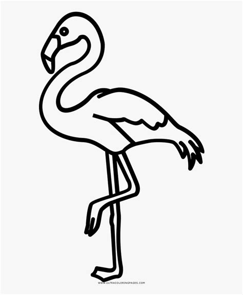 Black And White Flamingo Clipart Programsatila