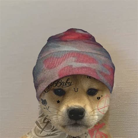 A Dog Wearing A Hat And Scarf On Top Of Its Head With Writing All Over It