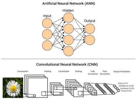 Artificial Neural Networks Ann And Convolutional Neural Networks Cnn