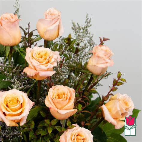 Beretanias Extra Long Stem Peach Rose Masterpiece 30 Larger Flowers