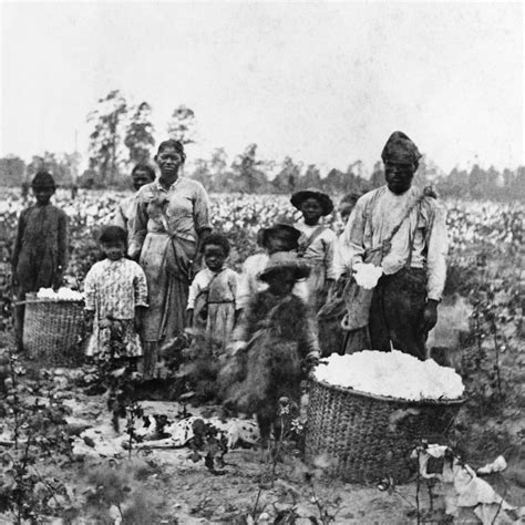 Eli Whitney The Inventor Of Cotton Gin Machine