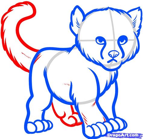 Explore what was found for the drawn cheetah easy. How to Draw a Baby Cheetah, Baby Cheetah, Step by Step, safari animals, Animals, FREE Online ...