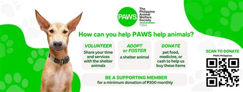 Philippine Animal Welfare Society Paws