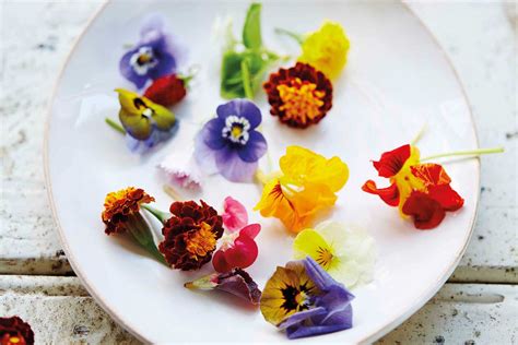 How To Decorate Your Food With Edible Flowers Home Beautiful Magazine
