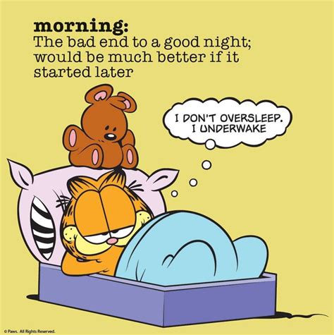 Pin By Ligia Gomes On Garfield The Cat Garfield Quotes Garfield Nap