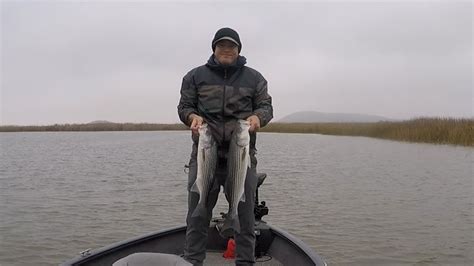 A Couple Solid Keepers California Delta Striped Bass Fishing YouTube