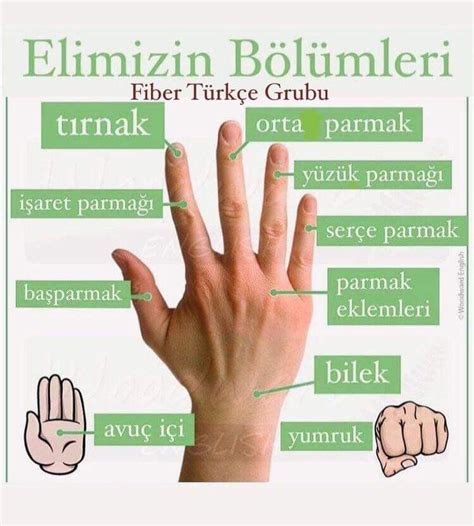 Learn Turkish Apprendre Le Turc