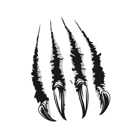 Claws Ripping Illustrations Royalty Free Vector Graphics And Clip Art