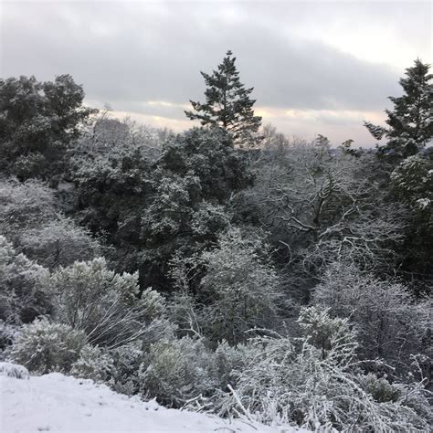 Photos Snow Flurries Fall In Bay Area