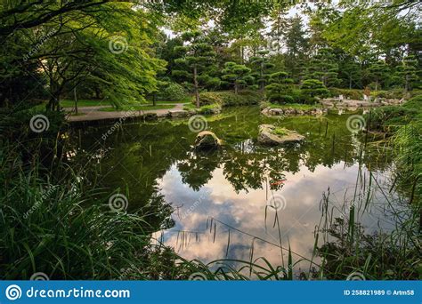 Japanse Tuin In Nordpark In Dusseldorf Met Vijver En Pianenbomen En