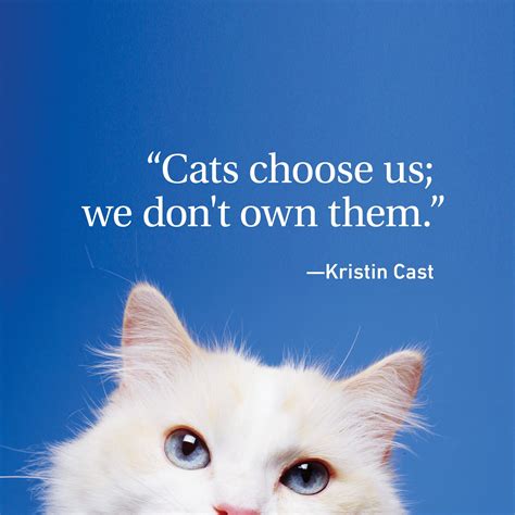Cat Quotes Every Cat Owner Can Appreciate Readers Digest