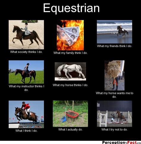 Equestrian What People Think I Do What I Really Do Perception