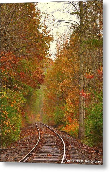 Train Tracks In Autumn Photograph By Sherri Brown