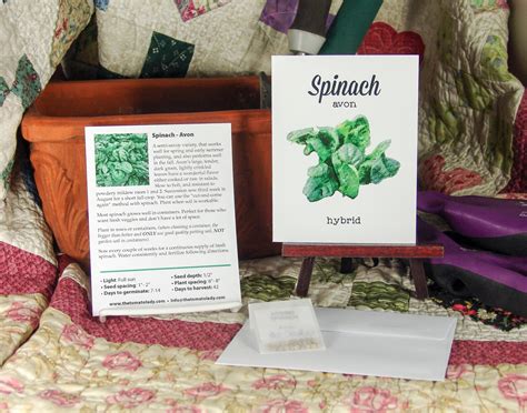 Spinach Seeds Avon Spinach Space Spinach Container Etsy