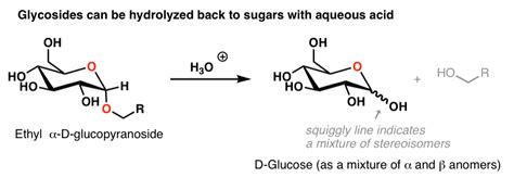Key Reactions Of Sugars Glycosylation And Protection