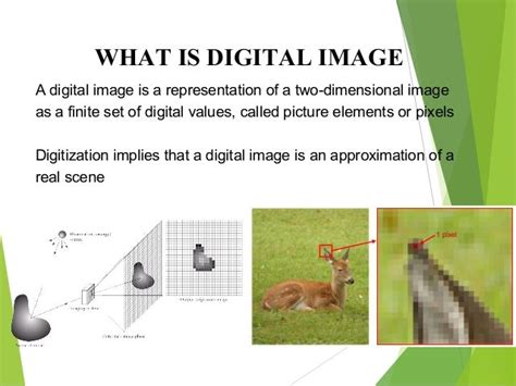 Digital Image Processing Dip