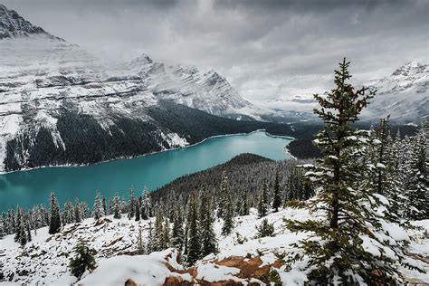 Peyto Lake In Banff National Park Canada Photograph By Kamran Ali