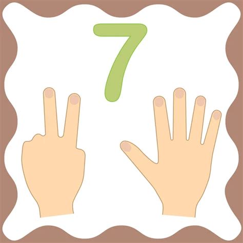 Learning Numbers Mathematics Fingers Hand Flash Cards Numbers Set Game