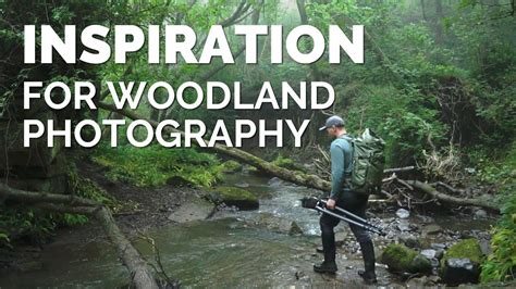 Inspiration For Your Woodland Photography Youtube