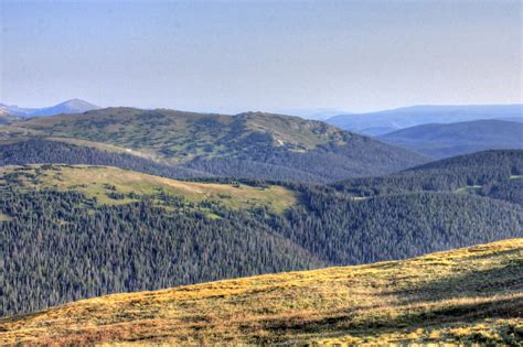 Forested Mountains At Rocky Mountains National Park Colorado Image