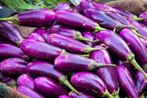 Selain dimasak balado, terong ungu juga bisa dibakar dengan olesan bumbu. 7 Khasiat Terung Ungu Bakar Mampu Mengubati dan Mencegah Penyakit - Petua Ibu