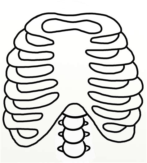 Human Ribs Coloring Pages