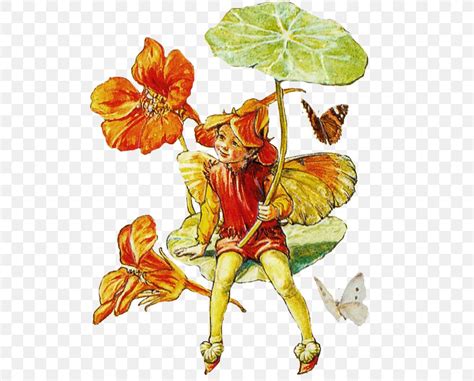 A Flower Fairy Alphabet The Book Of The Flower Fairies Png 522x660px