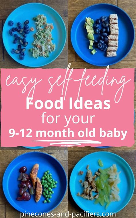9 Month Old Self Feeding Food Ideas Healthy Baby Food Baby Food