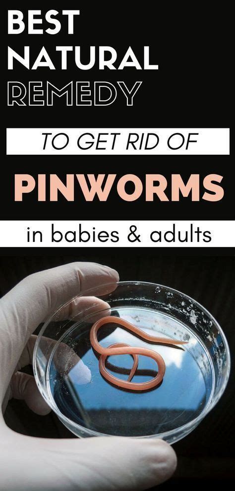 Best Natural Remedy To Get Rid Of Pinworms In Babies And Adults