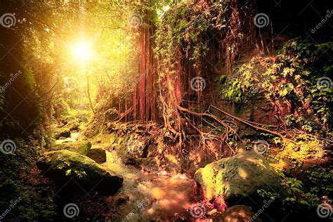 Surreal Colors Of Fantasy Tropical Forest Stock Photo Image Of Deep