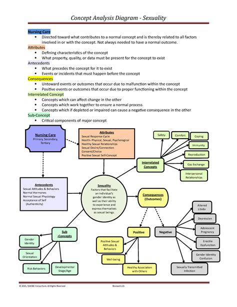 Sexuality Concept Map Nursing Concept Analysis Diagram Sexuality Nursing Care Directed