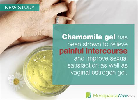 Study Chamomile Gel As Effective As Estrogen Cream For Painful Sex