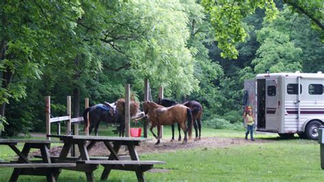 8 Equestrian Campgrounds To Bring Your Horses