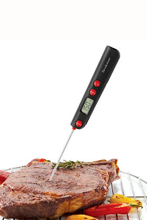 Brookstone Folding Meat Thermometer Cheapundies