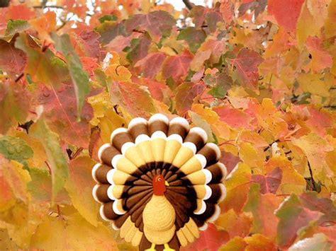 Free Thanksgiving Backgrounds Wallpaper Cave