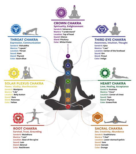 The 7 Chakras Chakra Health Chakra Healing Meditation Spirituality