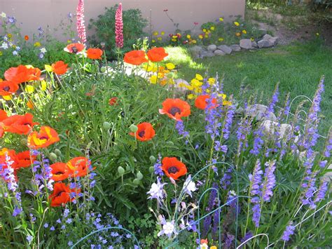 Put the vase in a cool spot and check the water daily. Meadowview Thymes: Mountains, Texas heat and a Surprise ...