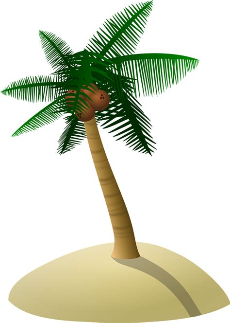 Кокосовое Дерево Пальмы Бесплатная векторная графика на pixabay pixabay