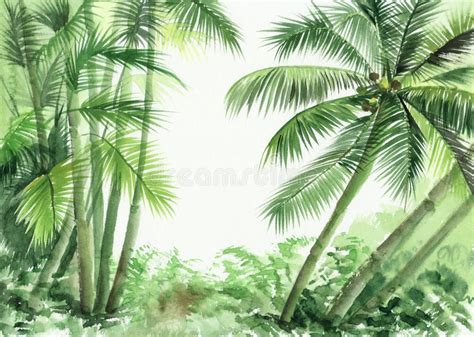 Palm Jungle Royalty Free Stock Image Image 37819556