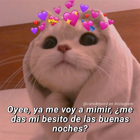 Spanglish Quotes Cute Phrases The Moon Is Beautiful Spanish Memes