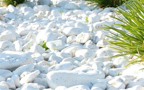 Where Would I Buy Large White Rocks For Landscaping — Randolph Indoor