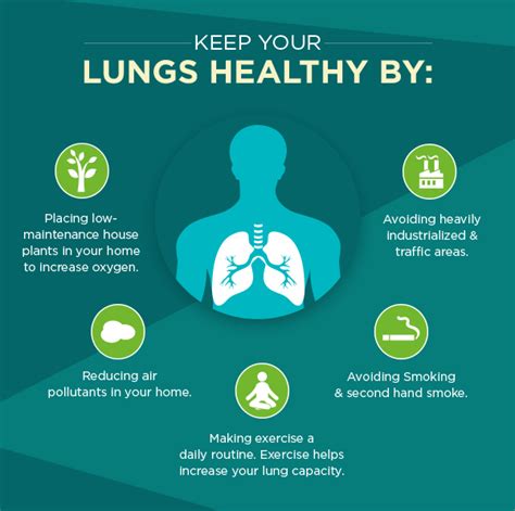 Guide To Healthy Lungs