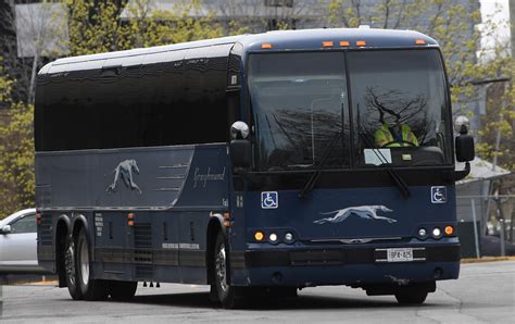 Greyhound Suspends All Bus Routes In Canada Due To Covid 19 Rci English