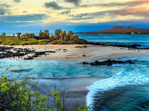 Galápagos 2 Islas Santa Cruz And San Cristóbal Viaja Con Polimundo