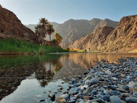 Wadi Oman Tattoo