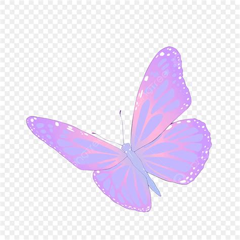 Flying Butterflys Png Transparent Flying Purple Butterfly Illustration